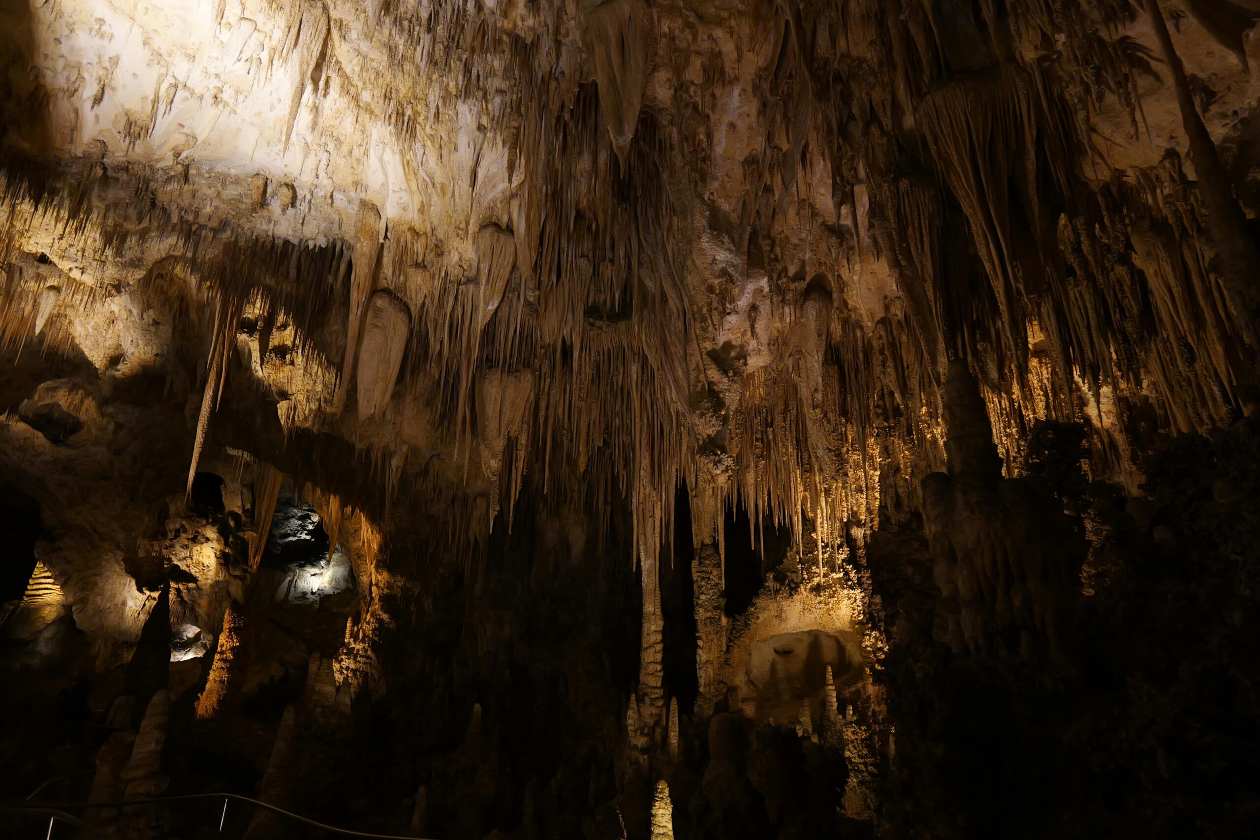 Carlsbad Caverns National Park