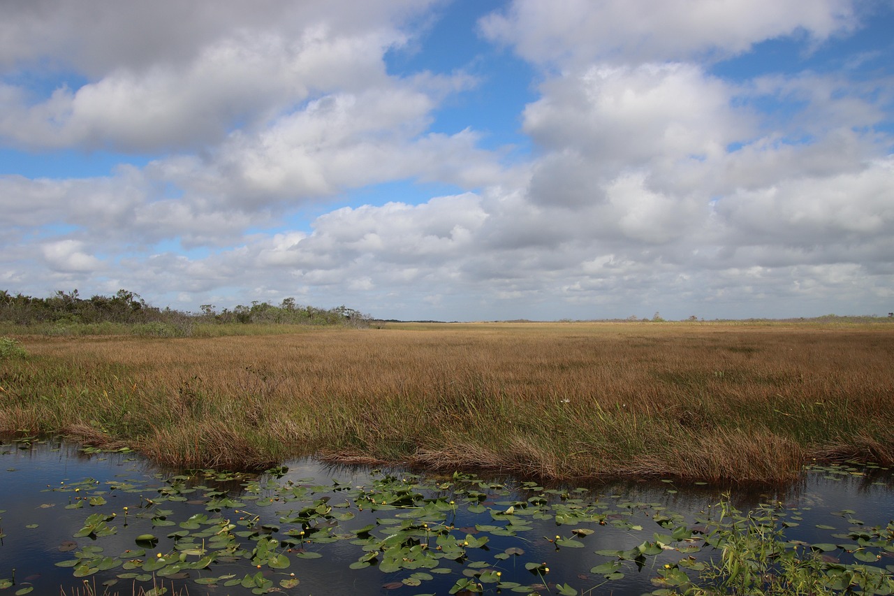 Everglades National Park