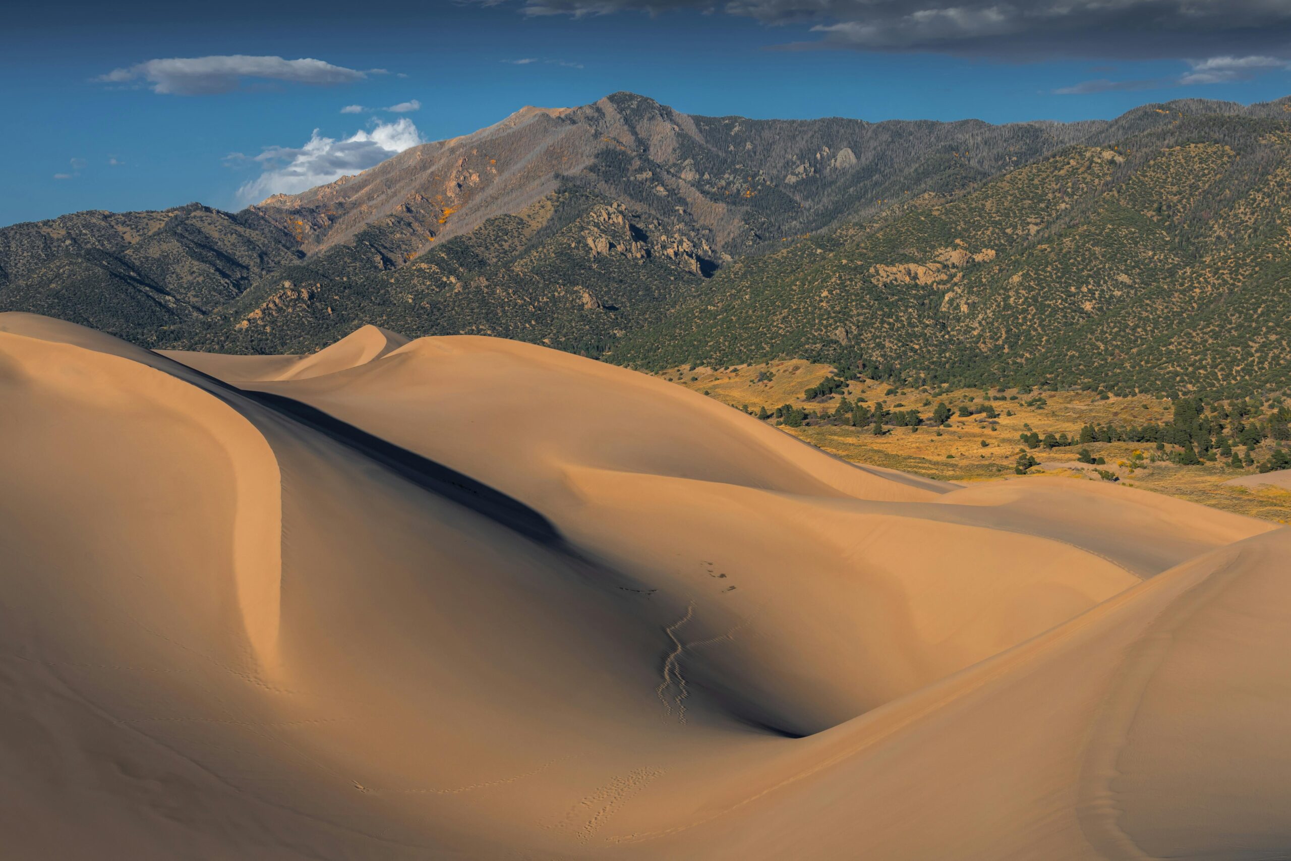 Great Sand Dunes National Park
