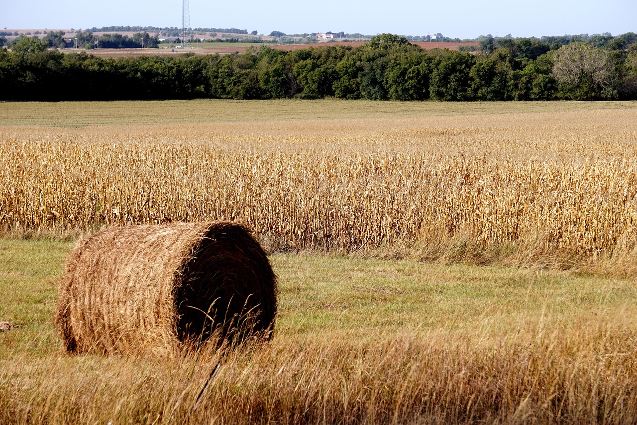 Kansas Travel Attractions