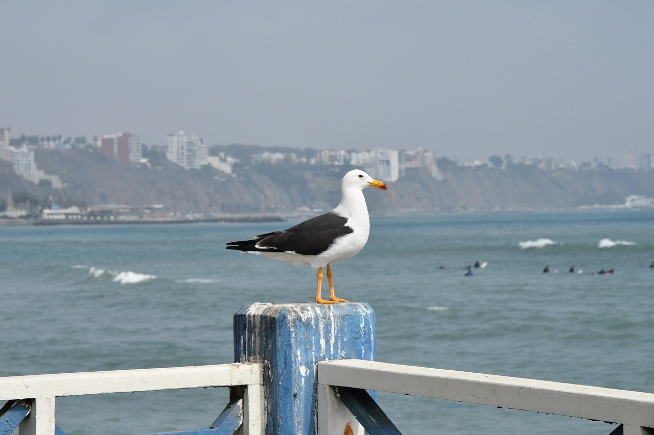 Lima, Peru Attractions
