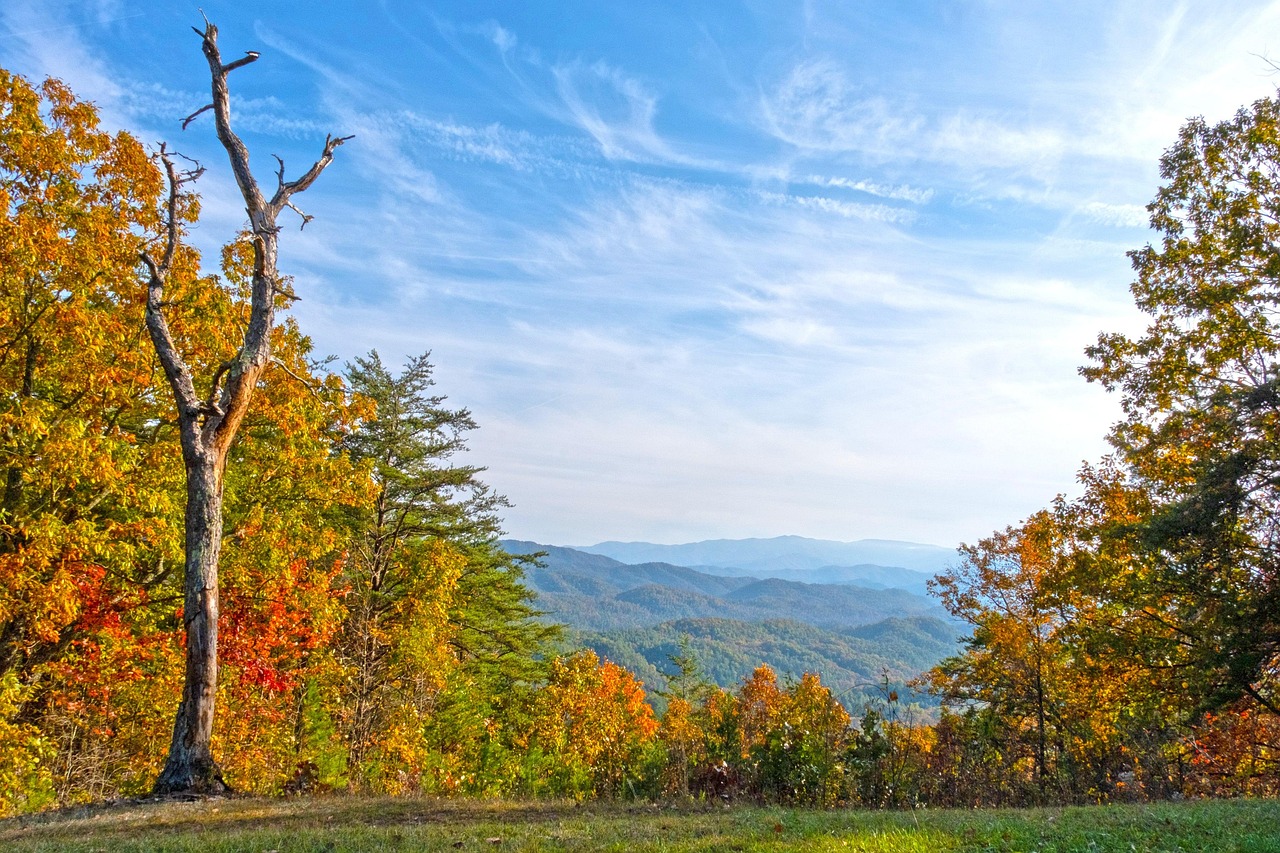 Tennessee Travel Attractions