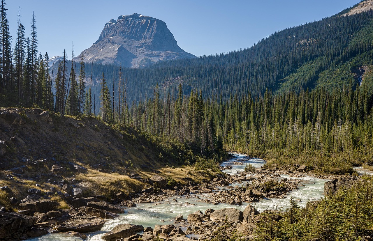 Canada