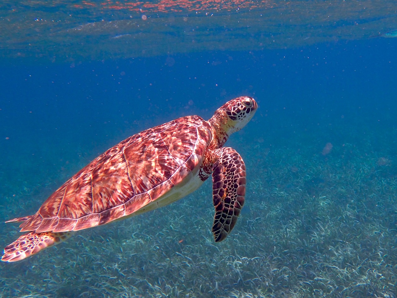 Belize: Family Travel Trips